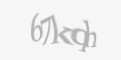 Защитный код