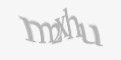 Защитный код