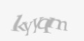 Защитный код