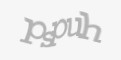 Защитный код